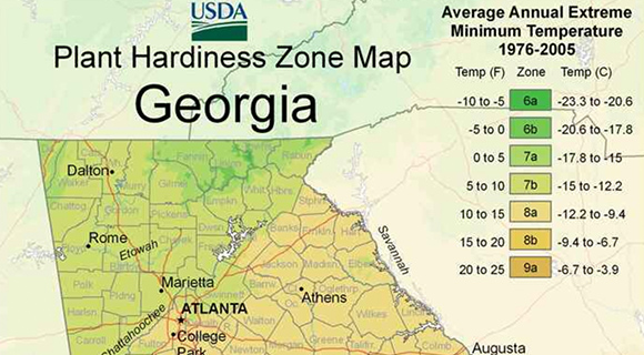 hardiness zone map roswell georgia hardy flowering plant species zone 7b