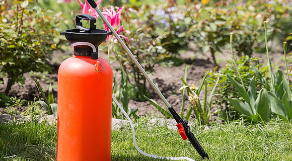 roswell georgia grubs and beetles chemical control