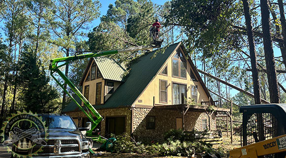 arborist tree removal roswell georgia