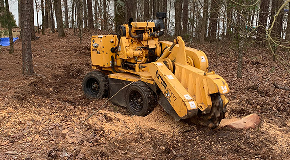 roswell tree services stump grinding