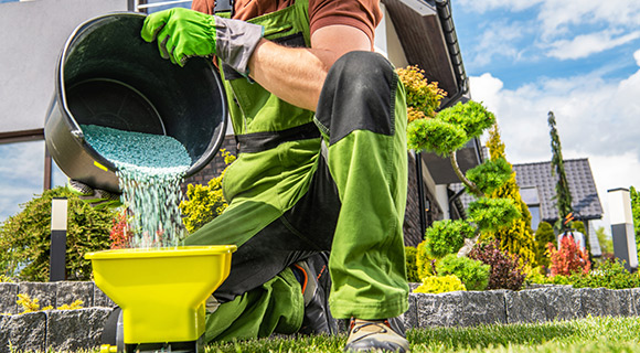 lawn shrubs and trees when to fertilize