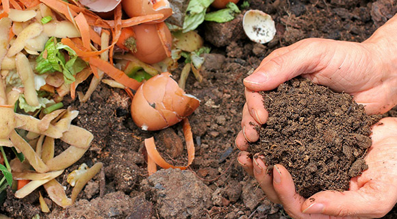 natural compost lawn shrubs and trees best time to fertilize