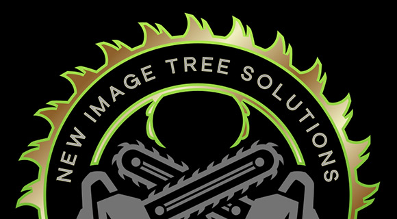 roswell georgia lawn shrubs and trees best time to fertilize