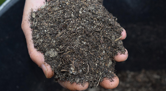 organic homemade mulch for landscapes