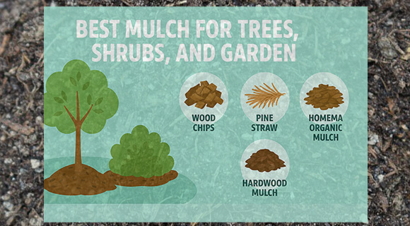 mulch information for landscapes