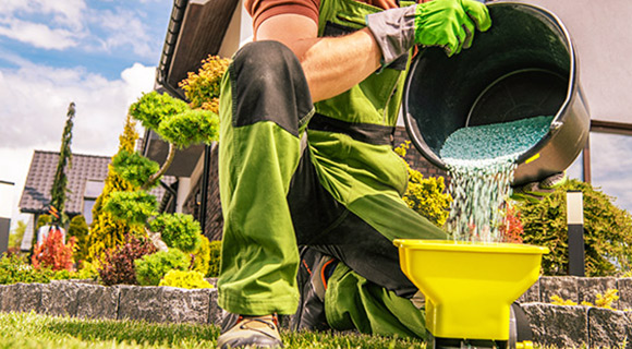 spring fertilizing for trees and shrubs
