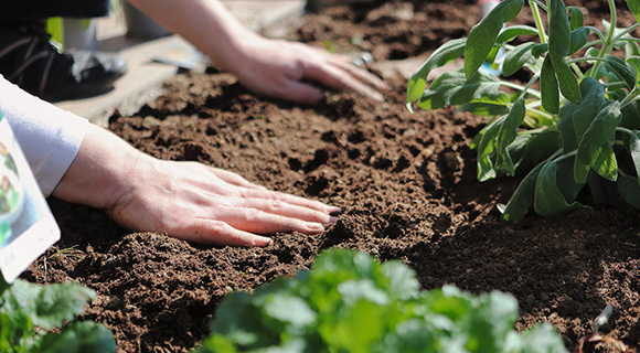 professional balanced soil testing and health