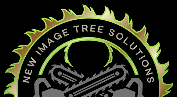 watering tips for trees and landscapes