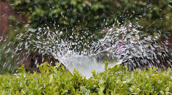 consistent irrigation watering tips for trees and landscapes