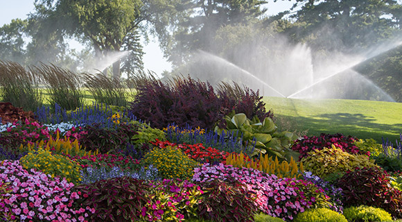 watering practices pro tips for trees and landscapes