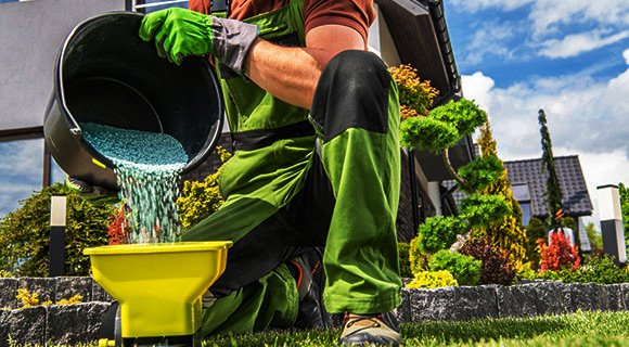 requirements for landscape soil fertilizer