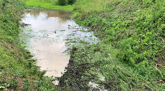 repairing low muddy spots on your landscape